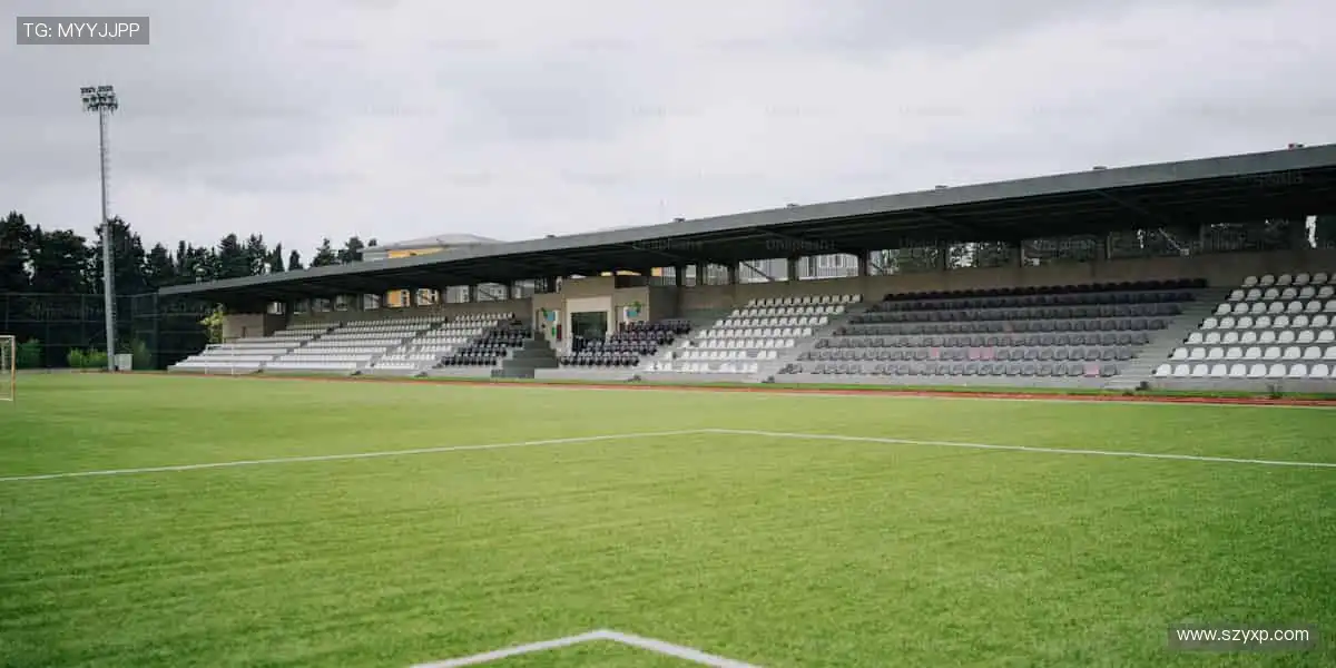 🎯 装备升级,战力翻倍!专业运动周边,为热爱保驾护航💪